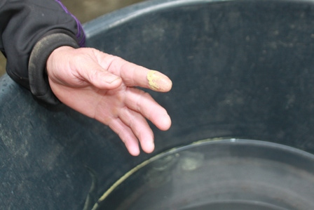 Picture 3 of The mysterious yellow rain in Nghe An