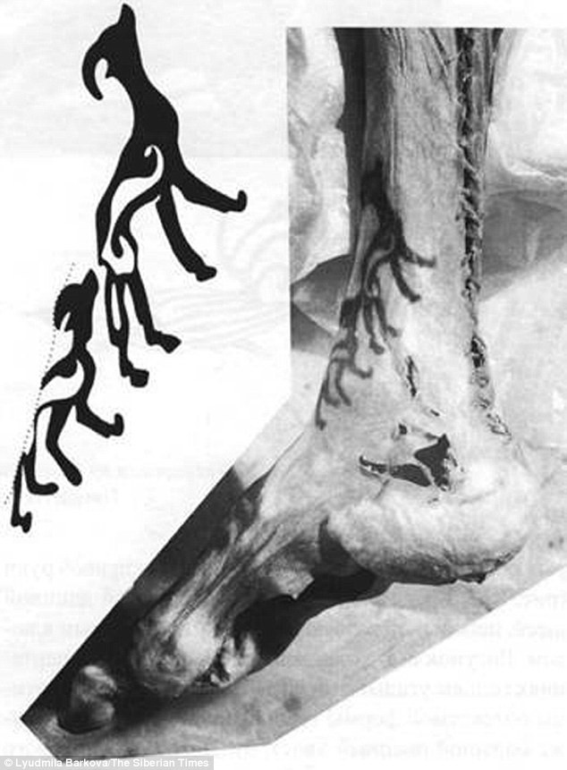 Picture 6 of The mystery of 2200-year-old royal mummy addiction and love of tattooing was revealed
