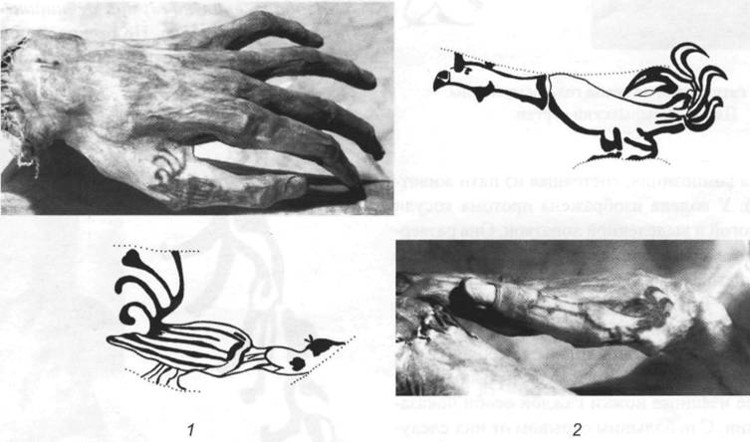Picture 8 of The mystery of 2200-year-old royal mummy addiction and love of tattooing was revealed