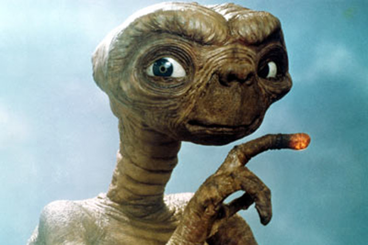 Picture 5 of The mystery of alien strains is already on Earth