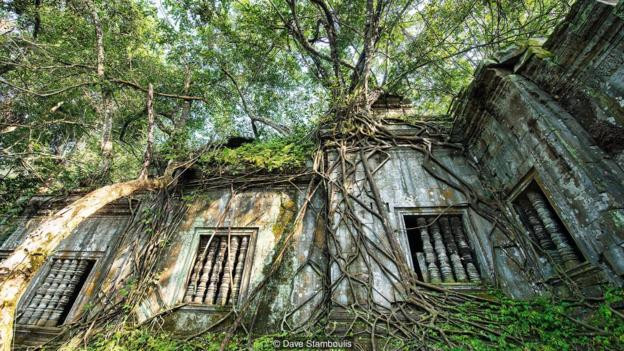 Picture 5 of The mystery of an ancient temple sits deep in the forest in Cambodia