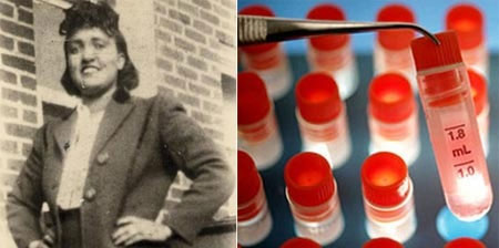 Picture 1 of The mystery of immortal human body cells