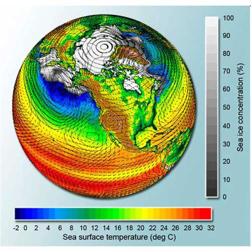 Picture 2 of The mystery of life in the wildest part of the earth