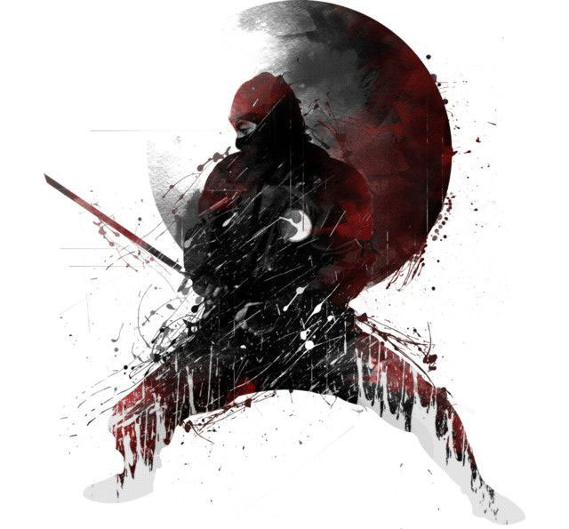 Picture 5 of The mystery of ninjas 'half a half demon' Japan: Unbelievable but true stories