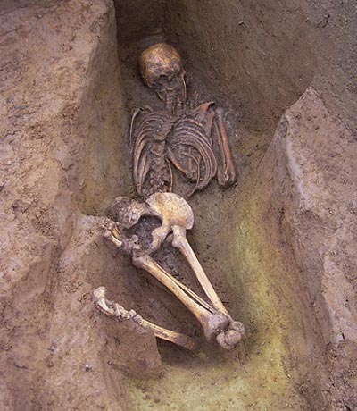 Picture 2 of The mystery of prone remains