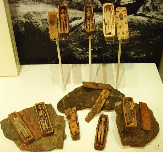 Picture 5 of The mystery of the 17 wooden caskets contains tiny mummies