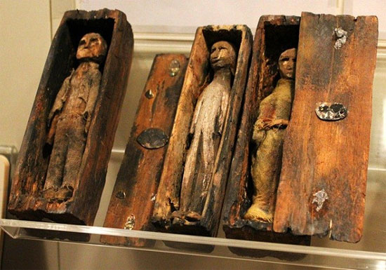 Picture 6 of The mystery of the 17 wooden caskets contains tiny mummies