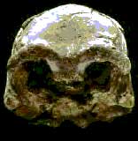 Picture 5 of The mystery of the African continent and the source of humanity
