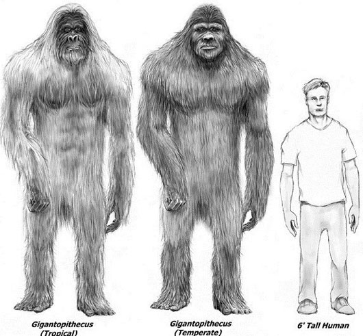 Picture 6 of The mystery of the beast