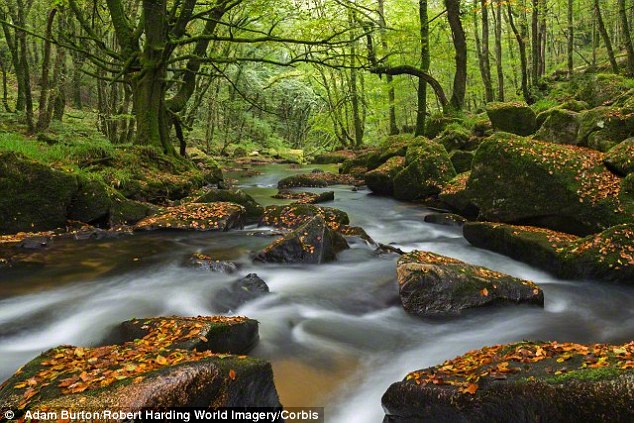 Picture 1 of The mystery of the gold rush 4,500 years ago in England