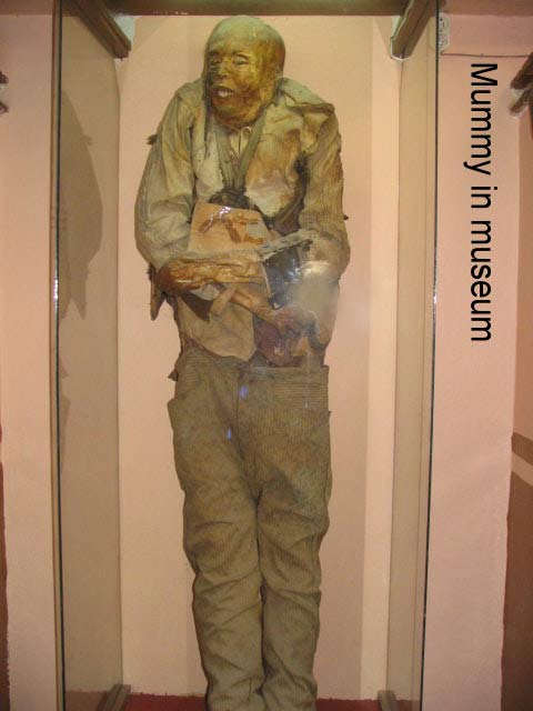 Picture 4 of The mystery of the mummies