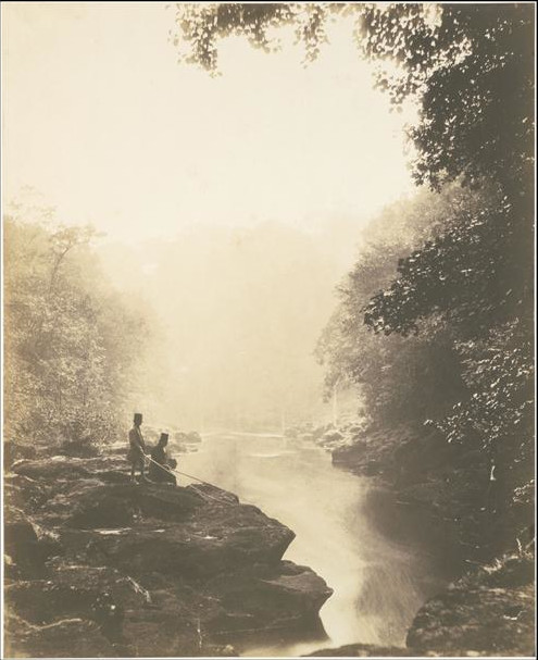 Picture 4 of The mystery of the specialized stream