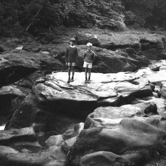 Picture 5 of The mystery of the specialized stream