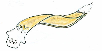 Picture 7 of The mystery of the worms 'living worms', though killed hundreds of times