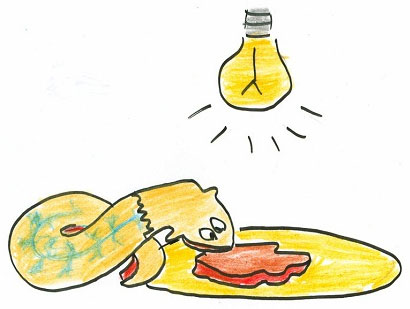 Picture 8 of The mystery of the worms 'living worms', though killed hundreds of times