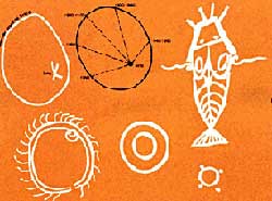 Picture 5 of The mystery of why you Thien Lang (Sirius) and Doxiang people