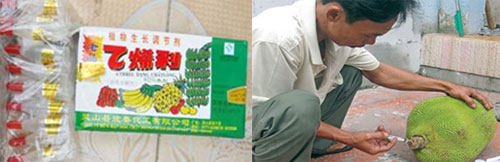 Picture 2 of The naked eye cannot distinguish between fruits with chemicals