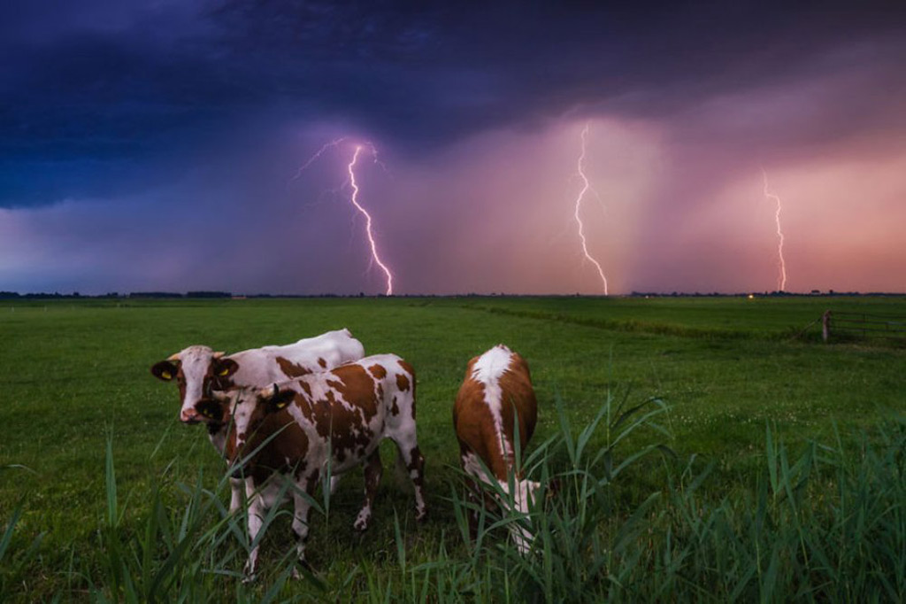 Picture 5 of The Netherlands - the land of wonder in Europe is sure you want to come once in your life