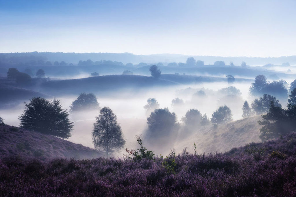 Picture 9 of The Netherlands - the land of wonder in Europe is sure you want to come once in your life