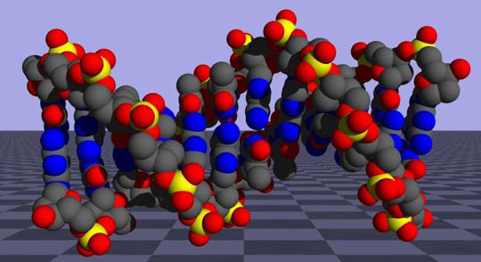 Picture 1 of The new compound takes DNA into the damaged cell nucleus