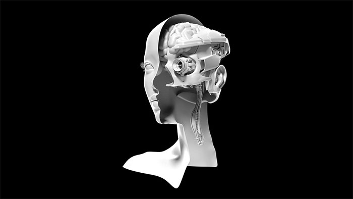 Picture 2 of The new finding shows that the human brain can create 11-dimensional space