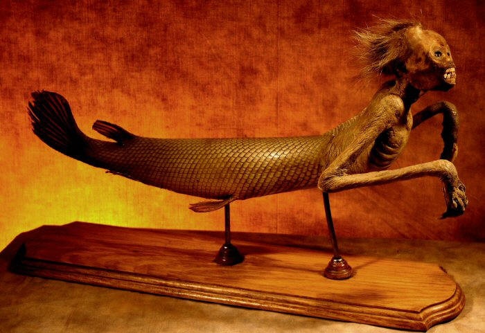 Picture 5 of The new question about 'The Mermaid' is true in history