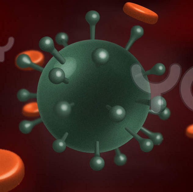 Picture 1 of The new vaccine has the ability to prevent HIV / AIDS virus