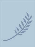 Picture 2 of The Nobel Peace Prize is for pioneers to combat poverty