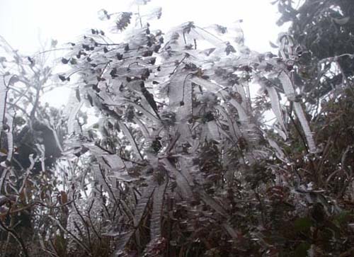 Picture 1 of The North suffered two more waves of cold air