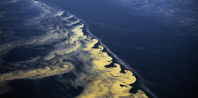 Picture 3 of The number of 'dead zones' in the sea is increasing