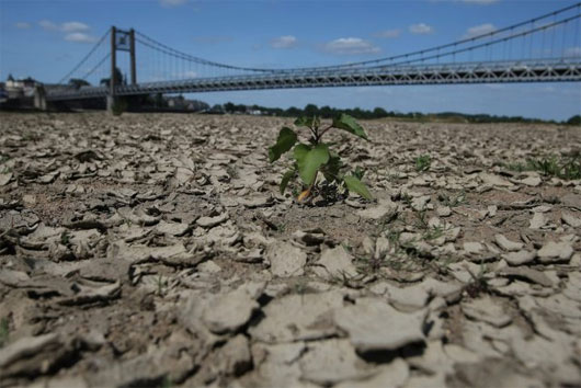 Picture 1 of The number of deaths due to hot weather in Europe increased sharply