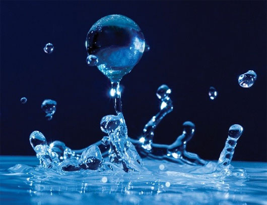 Picture 1 of The obvious things that make science unexplainable
