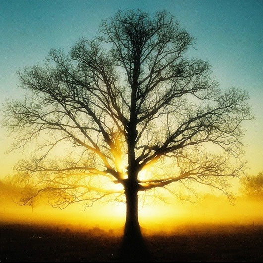 Picture 5 of The obvious things that make science unexplainable