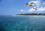 Picture 3 of The ocean absorbs 50% of CO2 emissions