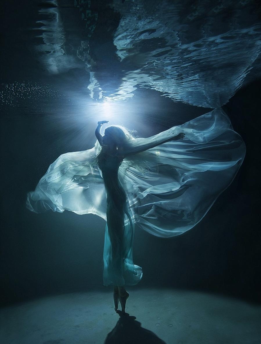 Picture 11 of The ocean world has never been so great