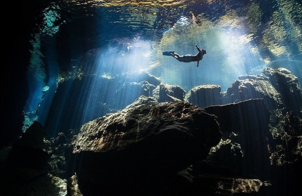 Picture 5 of The ocean world has never been so great