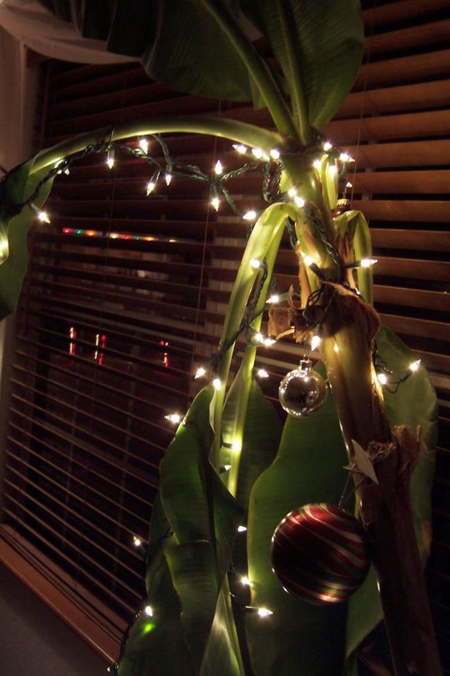 Picture 14 of The oddest Christmas conventions in the world