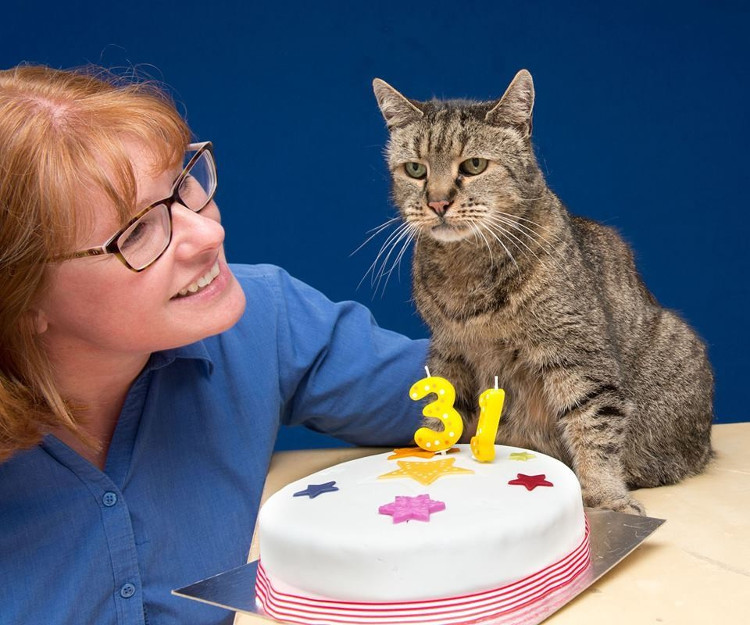 Picture 1 of The oldest cat in the world is equivalent to the 141-year-old