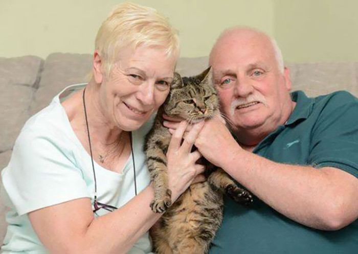 Picture 3 of The oldest cat in the world is equivalent to the 141-year-old