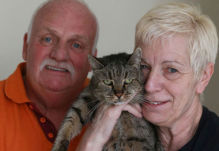 Picture 6 of The oldest cat in the world is equivalent to the 141-year-old