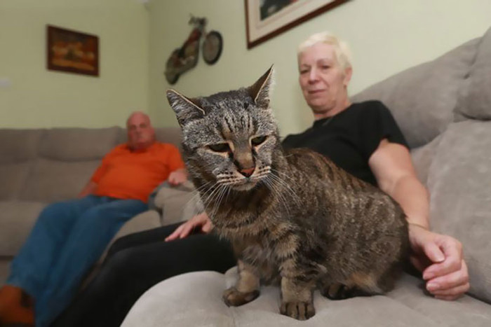 Picture 8 of The oldest cat in the world is equivalent to the 141-year-old