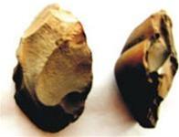 Picture 2 of The oldest collection of paleontology in Vietnam