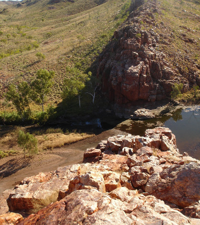 The oldest fossil on Earth images 1