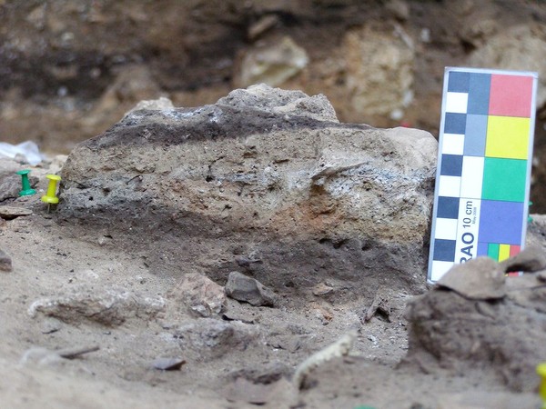 Picture 1 of The oldest fossils of mankind