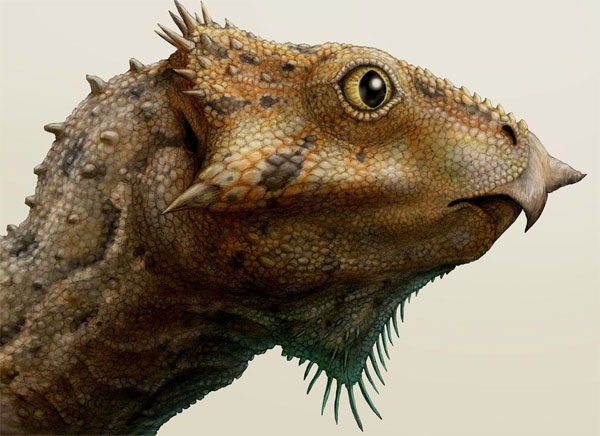 Picture 1 of The oldest horned dinosaur in North America