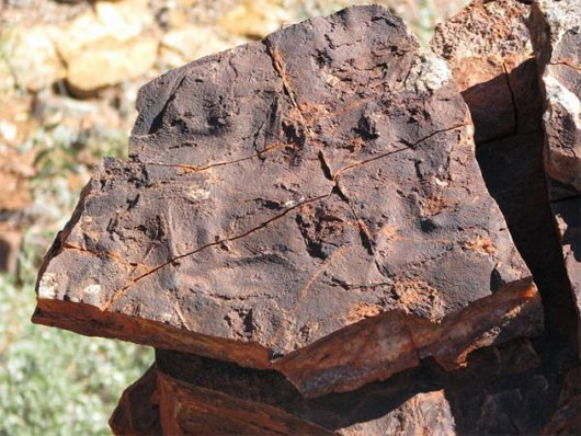 Picture 1 of The oldest sign of life