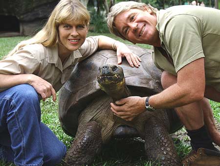 Picture 1 of The oldest turtle in the world died