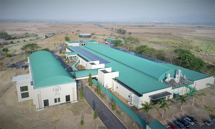 Picture 2 of The only fly factory in the world