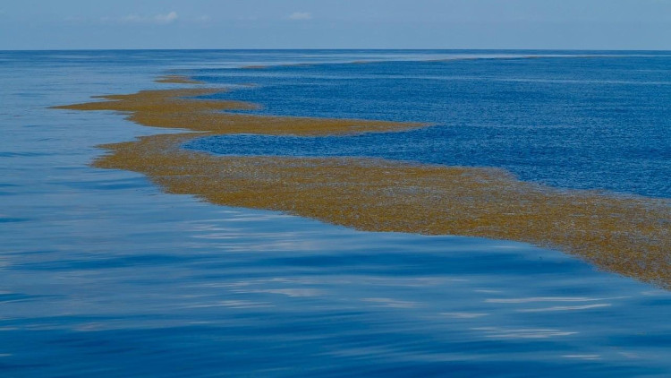 Picture 2 of The only mystery about the sea is not in the world