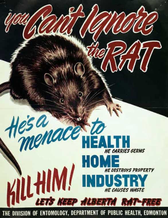 The only place in the world that 'wipes out' mice images 3